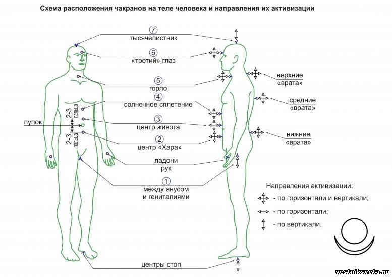 Сила хары